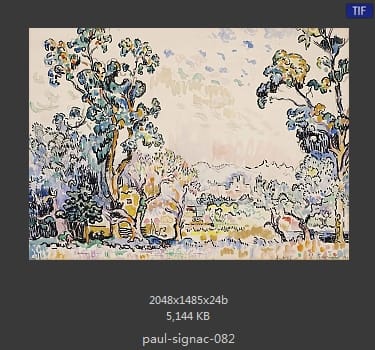 保罗·西涅克（Paul Signac）