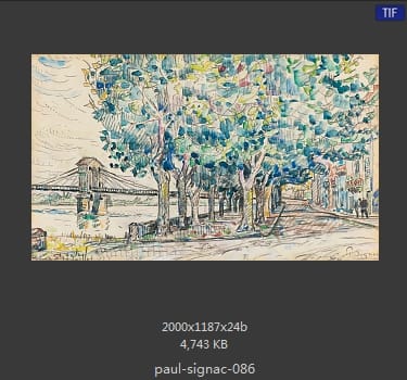 保罗·西涅克（Paul Signac）