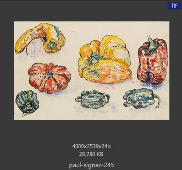 保罗·西涅克（Paul Signac）