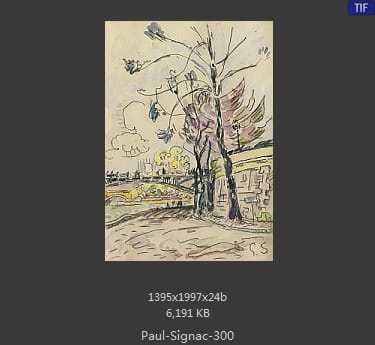 保罗·西涅克（Paul Signac）