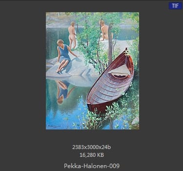 【芬兰】佩卡·哈洛宁（Pekka Halonen）
