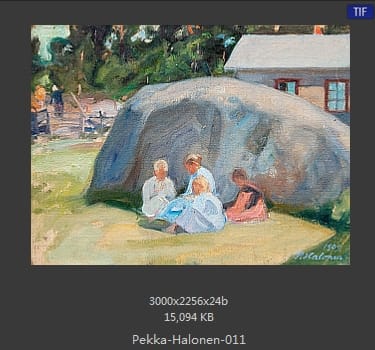 【芬兰】佩卡·哈洛宁（Pekka Halonen）