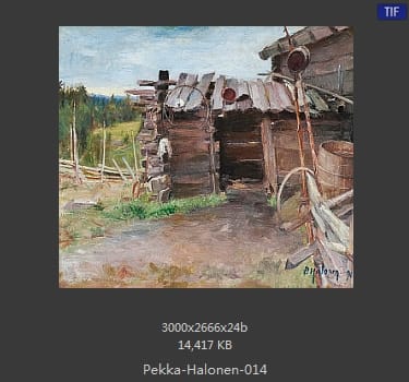 【芬兰】佩卡·哈洛宁（Pekka Halonen）
