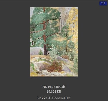 【芬兰】佩卡·哈洛宁（Pekka Halonen）