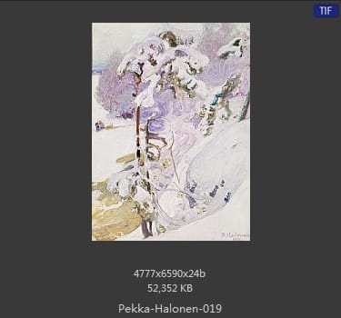 【芬兰】佩卡·哈洛宁（Pekka Halonen）