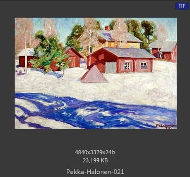 【芬兰】佩卡·哈洛宁（Pekka Halonen）