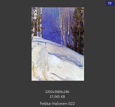 【芬兰】佩卡·哈洛宁（Pekka Halonen）