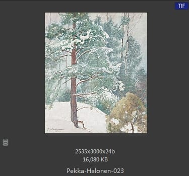 【芬兰】佩卡·哈洛宁（Pekka Halonen）