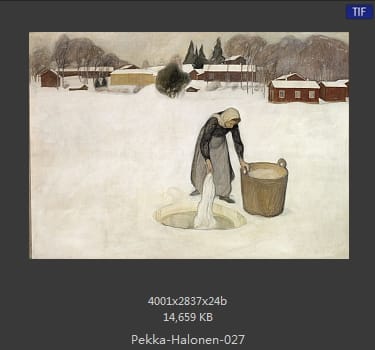 【芬兰】佩卡·哈洛宁（Pekka Halonen）