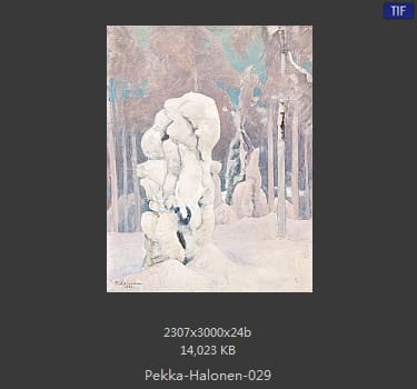 【芬兰】佩卡·哈洛宁（Pekka Halonen）