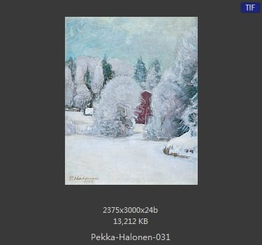 【芬兰】佩卡·哈洛宁（Pekka Halonen）