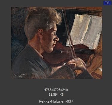【芬兰】佩卡·哈洛宁（Pekka Halonen）