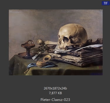 【荷兰】彼得·克拉斯（Pieter Claesz）