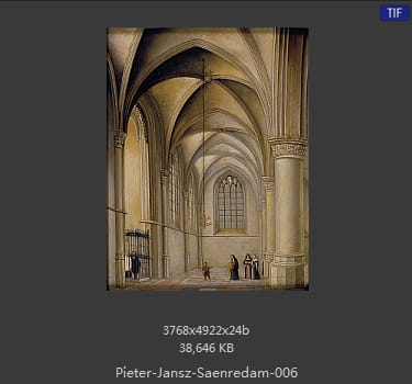 彼得·杰兹·萨恩雷丹 Pieter Jansz. Saenredam