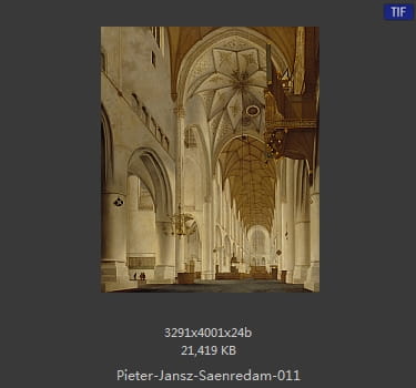 彼得·杰兹·萨恩雷丹 Pieter Jansz. Saenredam