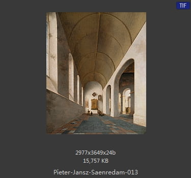 彼得·杰兹·萨恩雷丹 Pieter Jansz. Saenredam