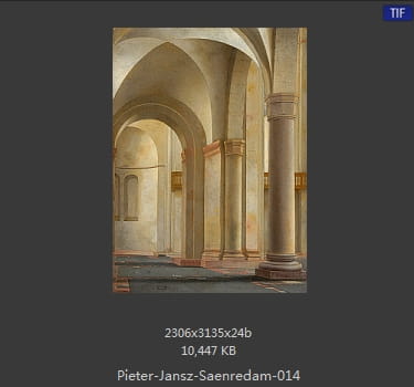 彼得·杰兹·萨恩雷丹 Pieter Jansz. Saenredam