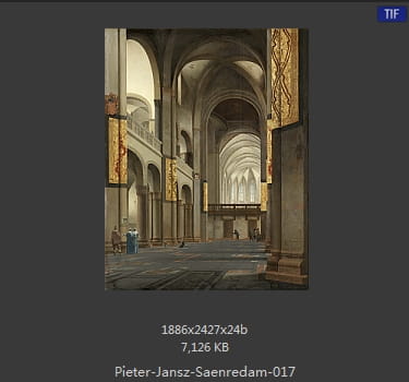 彼得·杰兹·萨恩雷丹 Pieter Jansz. Saenredam