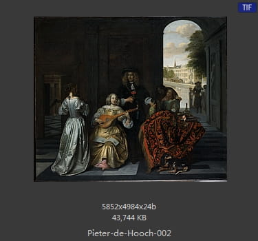 皮特尔·德·胡格(Pieter de Hooch)