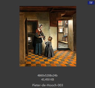 皮特尔·德·胡格(Pieter de Hooch)
