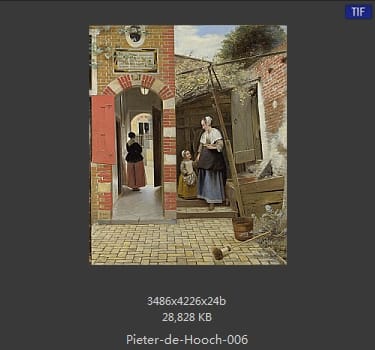 皮特尔·德·胡格(Pieter de Hooch)