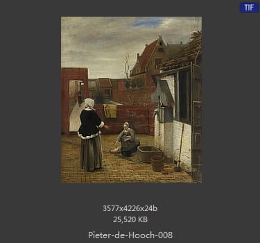 皮特尔·德·胡格(Pieter de Hooch)