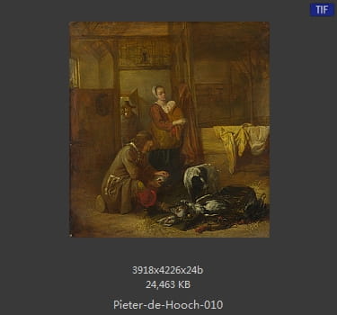 皮特尔·德·胡格(Pieter de Hooch)