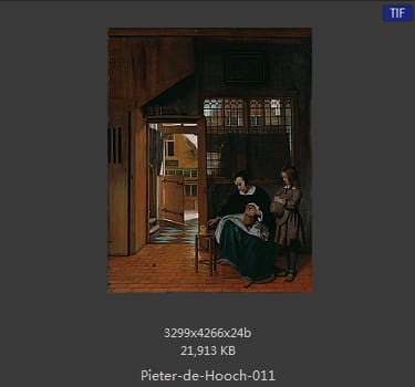 皮特尔·德·胡格(Pieter de Hooch)