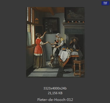 皮特尔·德·胡格(Pieter de Hooch)