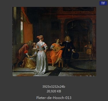 皮特尔·德·胡格(Pieter de Hooch)