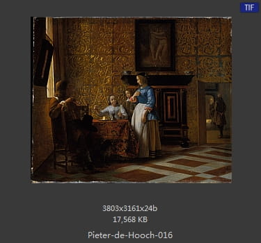 皮特尔·德·胡格(Pieter de Hooch)