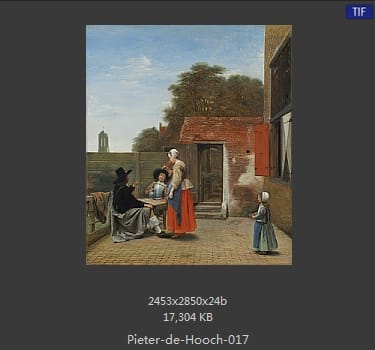 皮特尔·德·胡格(Pieter de Hooch)