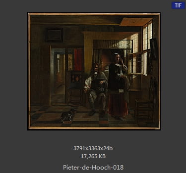 皮特尔·德·胡格(Pieter de Hooch)