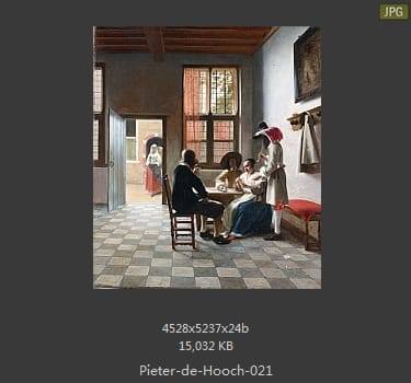 皮特尔·德·胡格(Pieter de Hooch)