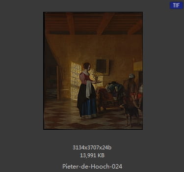 皮特尔·德·胡格(Pieter de Hooch)
