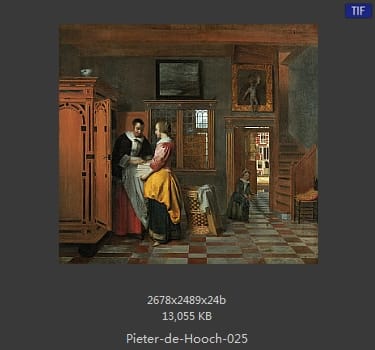 皮特尔·德·胡格(Pieter de Hooch)