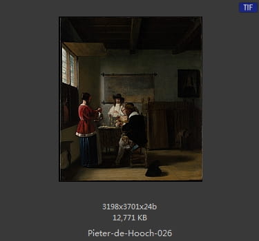 皮特尔·德·胡格(Pieter de Hooch)