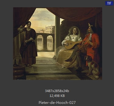 皮特尔·德·胡格(Pieter de Hooch)