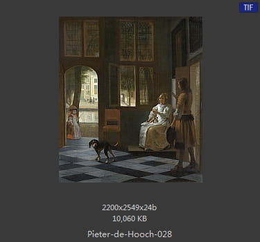 皮特尔·德·胡格(Pieter de Hooch)