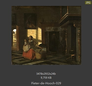 皮特尔·德·胡格(Pieter de Hooch)