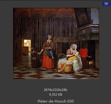 皮特尔·德·胡格(Pieter de Hooch)