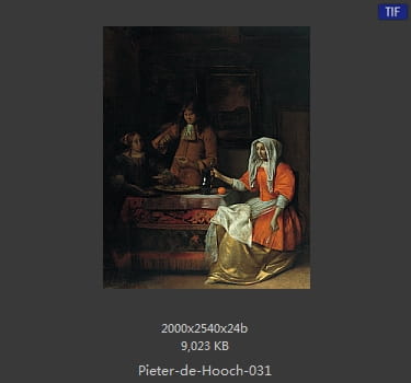 皮特尔·德·胡格(Pieter de Hooch)
