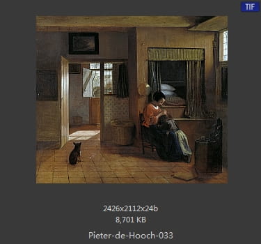 皮特尔·德·胡格(Pieter de Hooch)