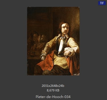 皮特尔·德·胡格(Pieter de Hooch)