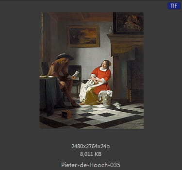 皮特尔·德·胡格(Pieter de Hooch)
