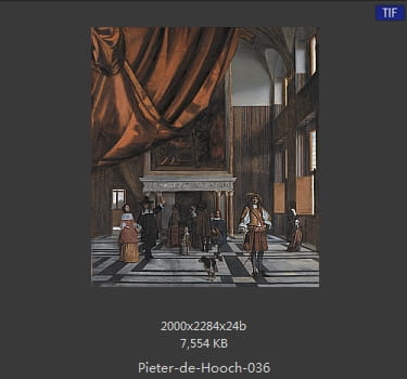 皮特尔·德·胡格(Pieter de Hooch)