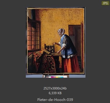 皮特尔·德·胡格(Pieter de Hooch)