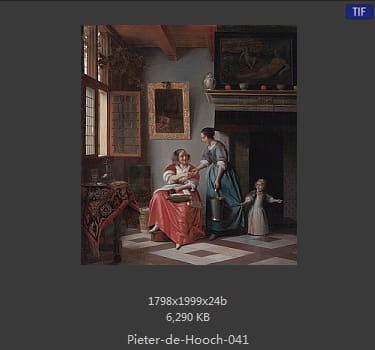 皮特尔·德·胡格(Pieter de Hooch)