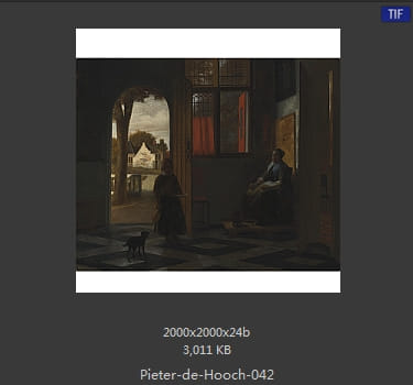 皮特尔·德·胡格(Pieter de Hooch)