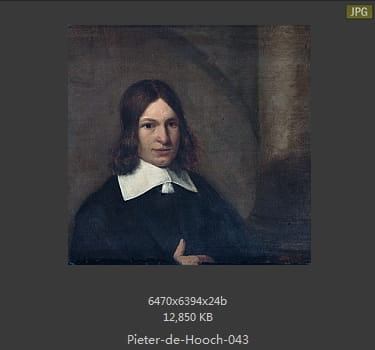 皮特尔·德·胡格(Pieter de Hooch)